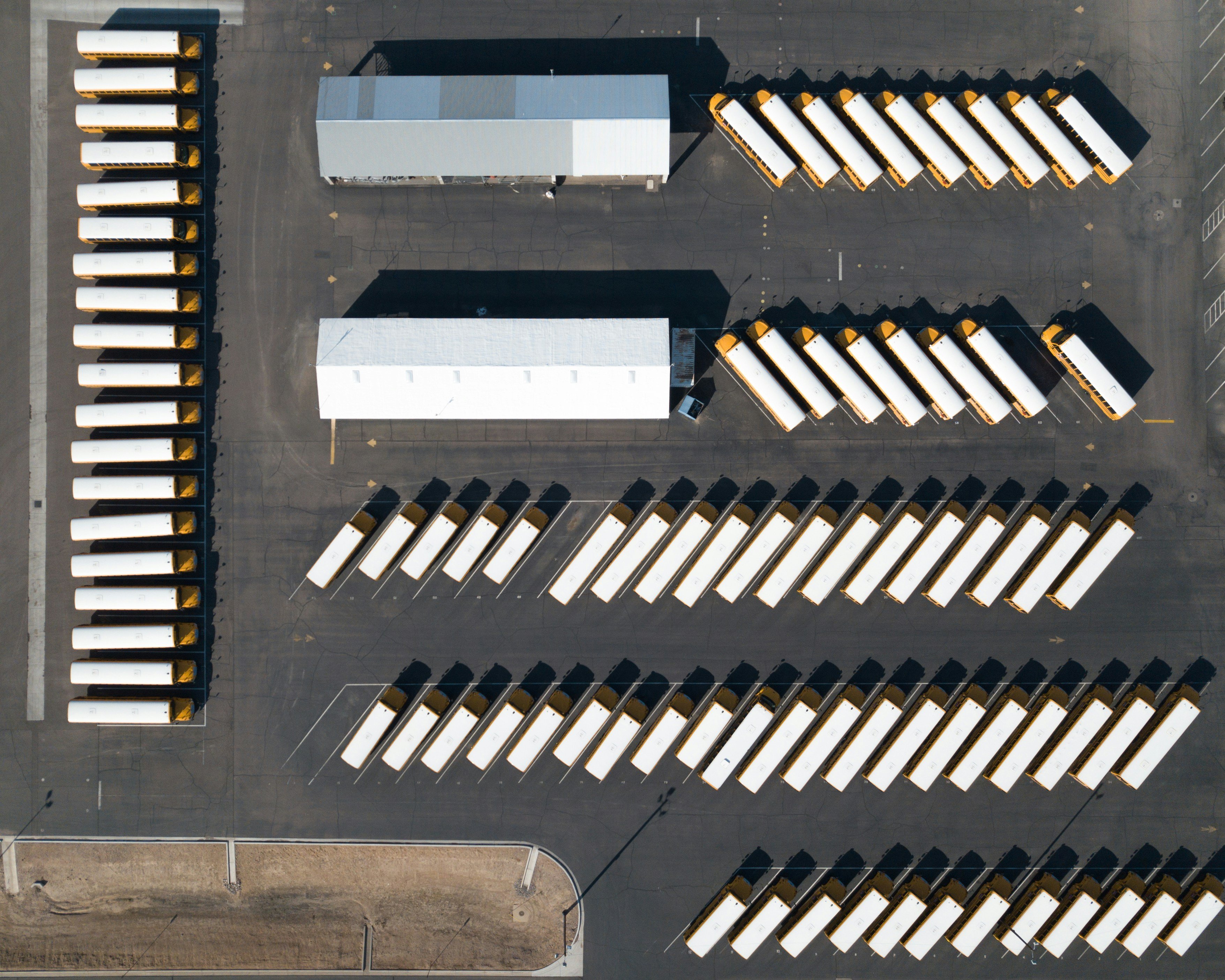 Yellow, white-roof school buses parked