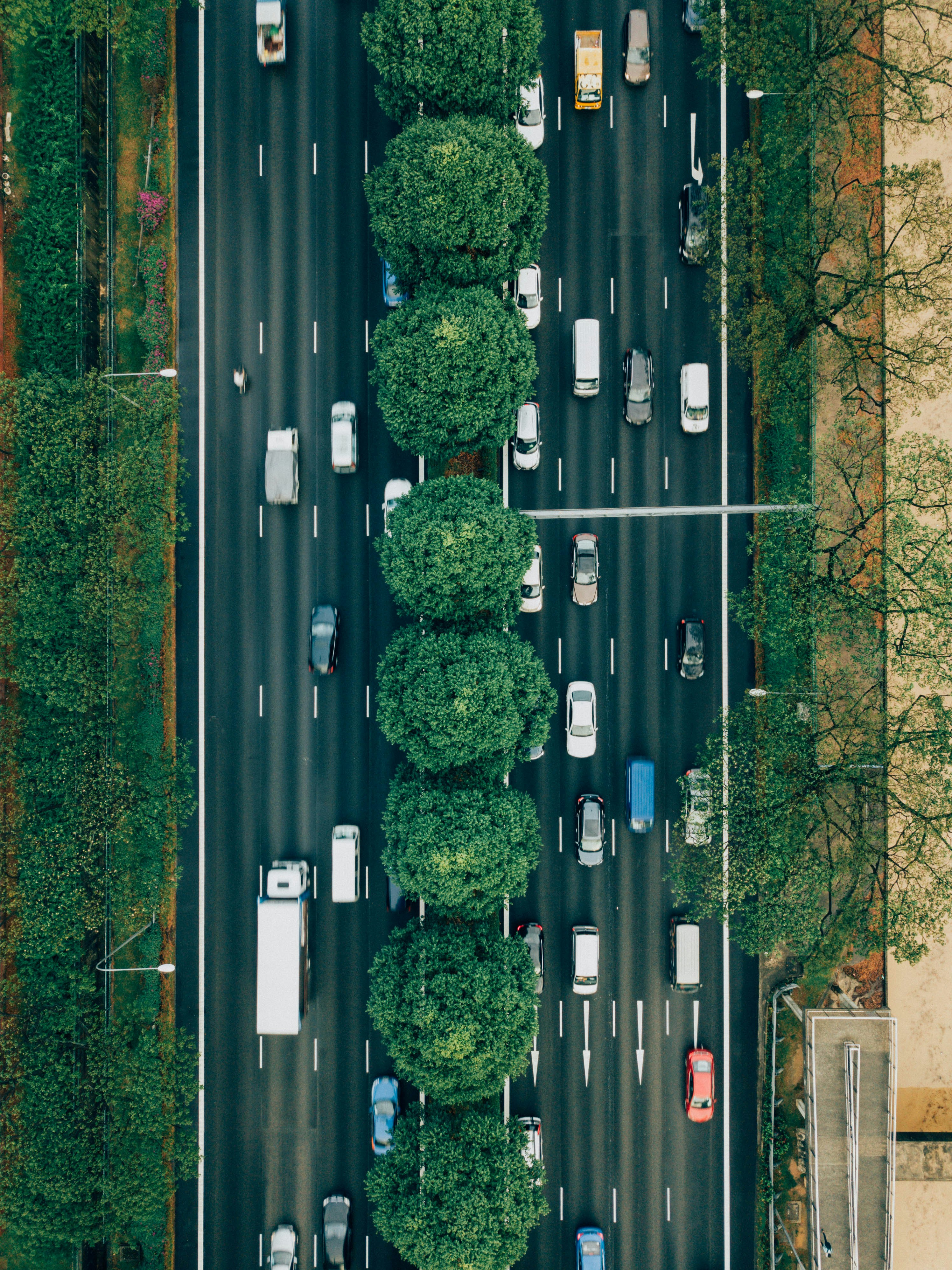 From above, Cars in a movement on a highway with green leaves trees on both sides and in the middle